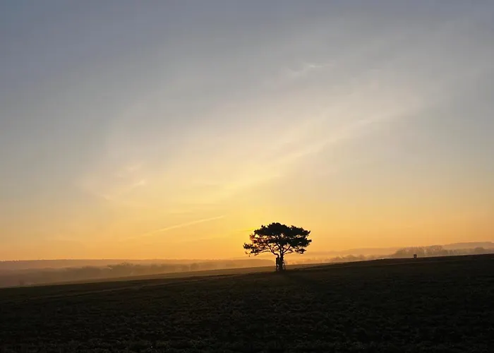 Fachwerkhaus Schwalmblick Hébergement de vacances Schwalmstadt